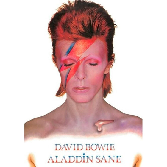 Постер Pyramid David Bowie Aladdin Sane