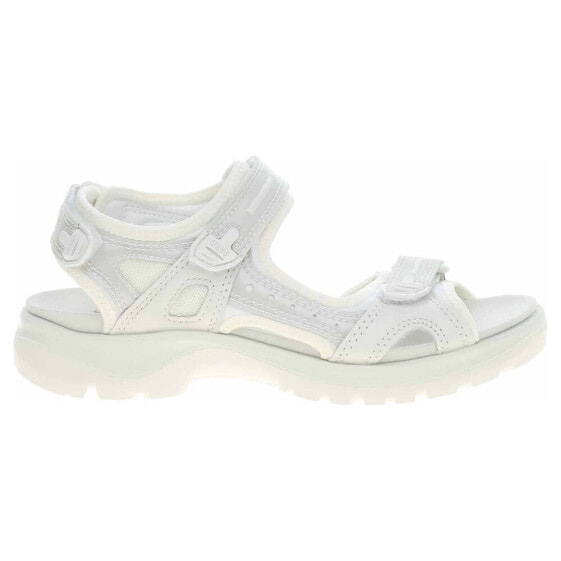 Ecco White-iridescent