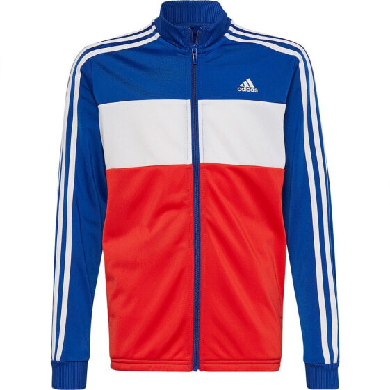 Спортивный костюм Adidas Essentials Track Suit