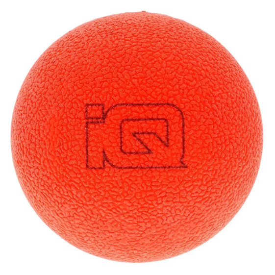 Фитбол для тренировок iQ Rollo Ball