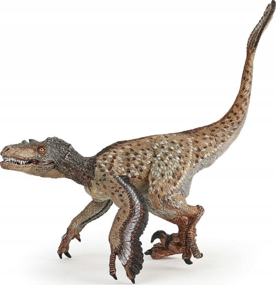 Фигурка Papo Velociraptor Feathered Dinosaurs (Пернатый Динозавр)