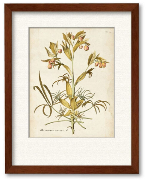 Elegant Botanical II 16" x 20" Framed Canvas Wall Art