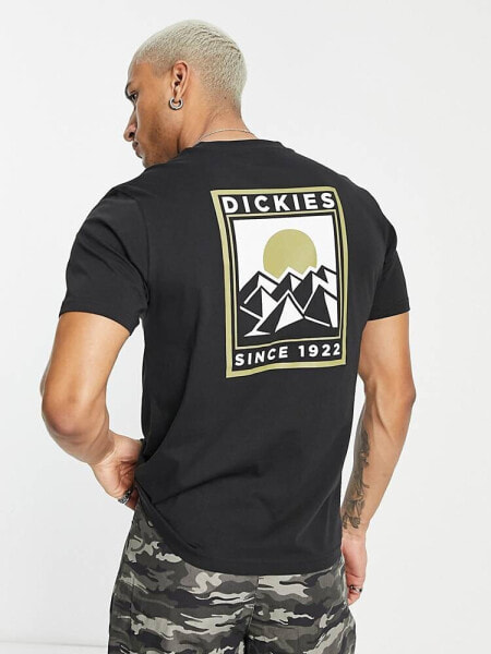 Dickies Pacific t-shirt in black