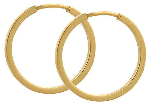 Gold hoop earrings 231 001 00199
