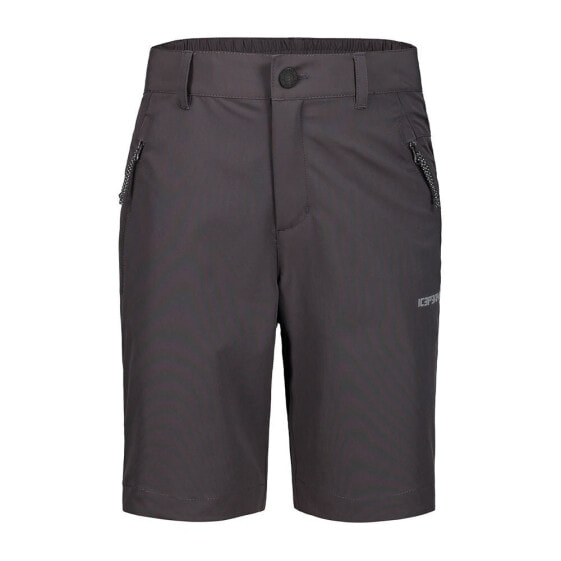 ICEPEAK Konz Shorts