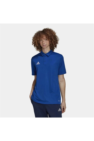 Футболка Adidas Entrada 22 Polo.