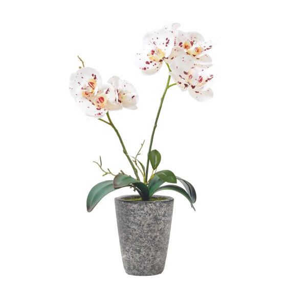 Künstliche weiße Phalaenopsis-Orchidee