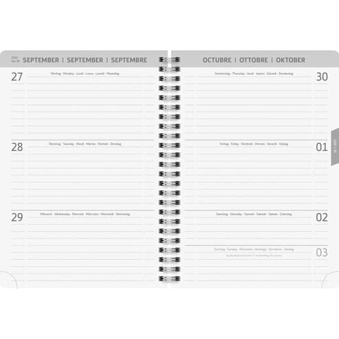 Brunnen Celebrate - Personal diary - 2023/2024 - Light Green - July 2023 to December 2024 - Image - A5