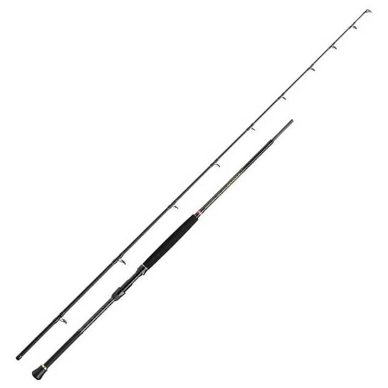 PENN Regiment III Boat Braid spinning rod