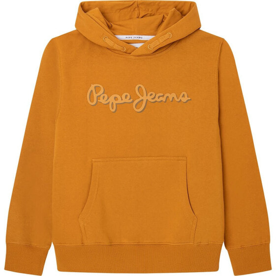 PEPE JEANS Nolan hoodie