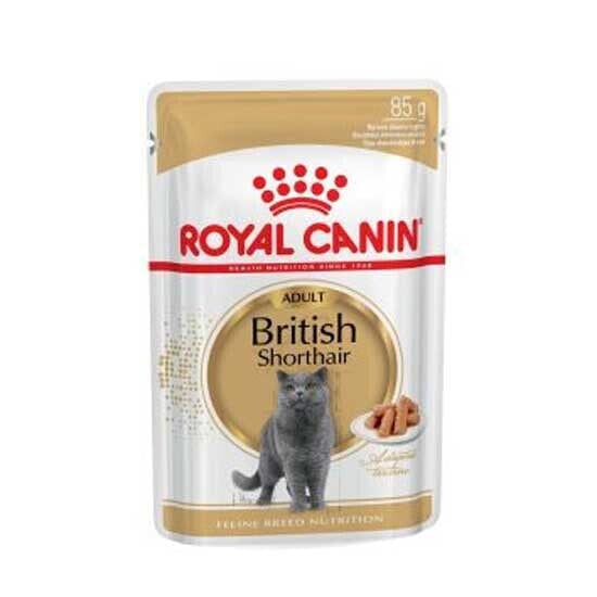 ROYAL CANIN British Shorthair Adult 12x85g Wet Cat Food