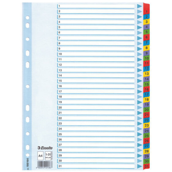 Esselte Leitz Mylar Indices & Dividers - Multicolour - A4 - 225 mm - 5 mm - 297 mm - 355 g