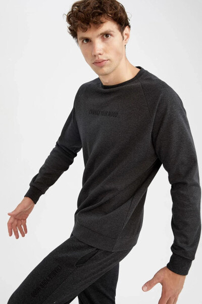 Fit Standart Fit Bisiklet Yaka Sweatshirt