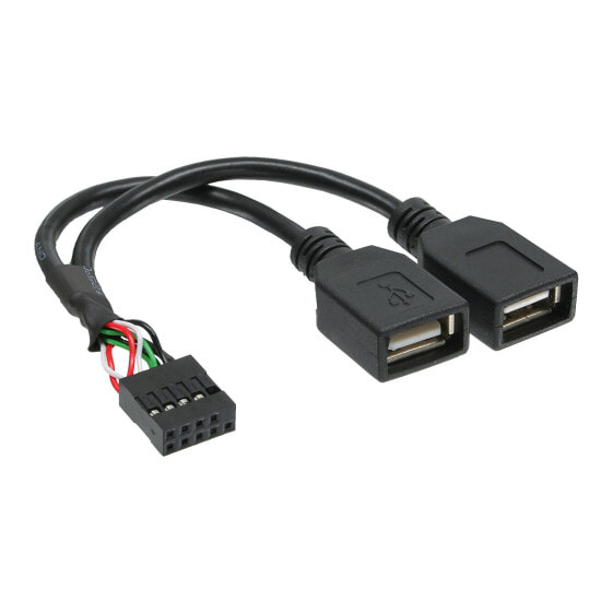 InLine USB 2.0 Adapter Cable internal 2x USB Type A female / mainboard header