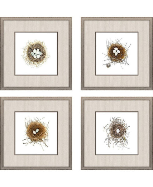 Bird Nest Framed Art, Set of 4