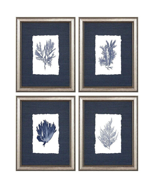 Paragon Coral Framed Wall Art Set of 4, 14" x 11"