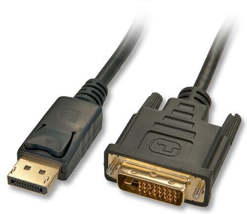 Lindy 1m DisplayPort to DVI Cable - 1 m - DVI-D - DisplayPort - Gold - 2.7 Gbit/s - Black