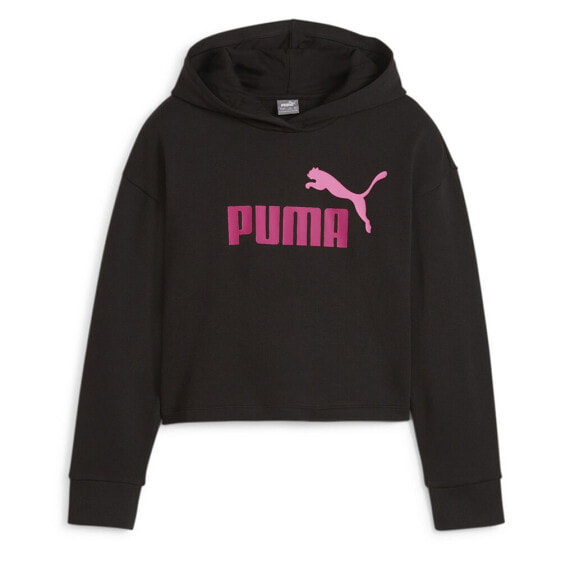 Толстовка PUMA Ess+ 2 Color Logo Length Hoodie