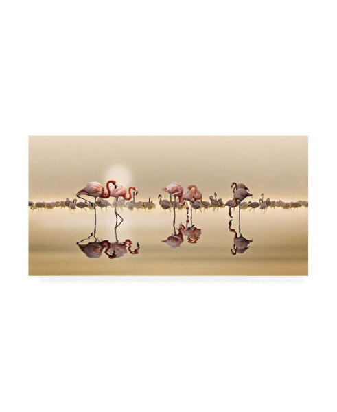 Nasser Osman Flamingos Reflection Canvas Art - 20" x 25"