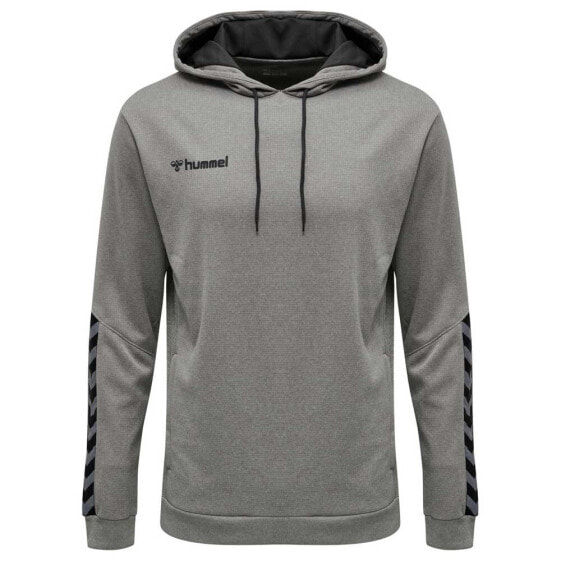 HUMMEL Authentic hoodie