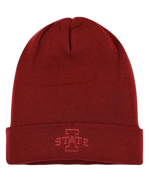 Men's Cardinal Iowa State Cyclones Tonal Cuffed Knit Hat