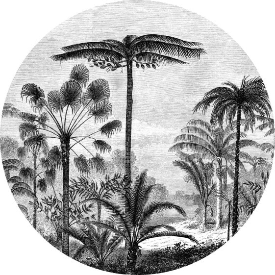 Wandtattoo tropische Landschaft mit Palm