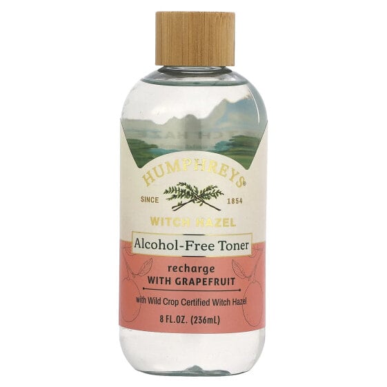 Witch Hazel, Alcohol-Free Toner with Grapefruit, Recharge, 8 fl oz (236 ml)