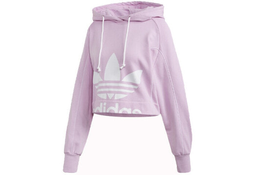 Толстовка женская adidas originals Cropped Hoodie 145 FM в фиолетовом цвете