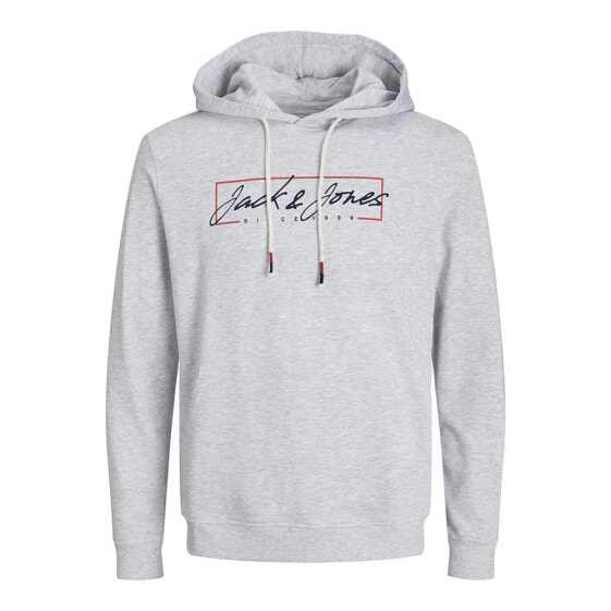 JACK & JONES 12254870 Zuri hoodie