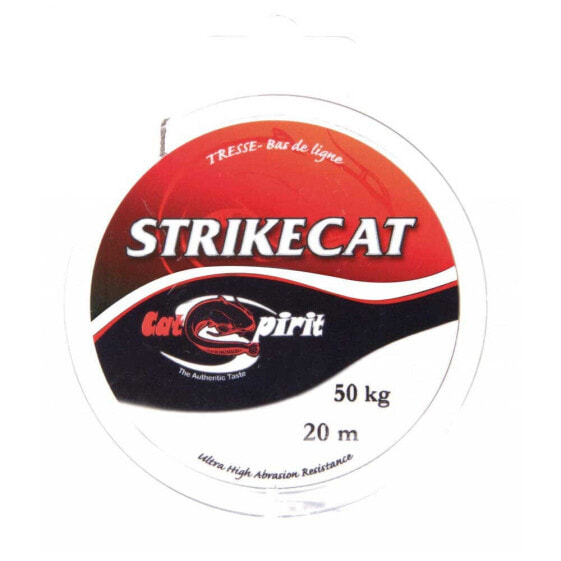 RAGOT Strike Cat 20 m Braided Line