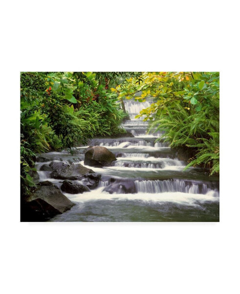 Monte Nagler Terraced Falls Canvas Art - 37" x 49"