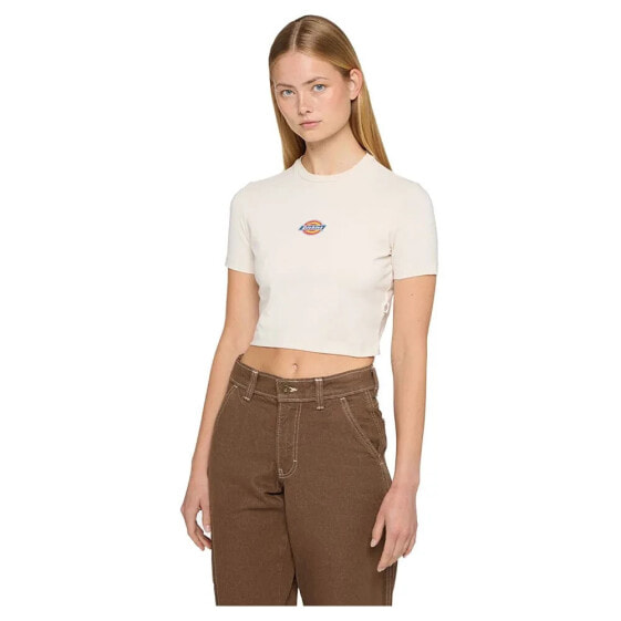 DICKIES Maple Valley short sleeve T-shirt