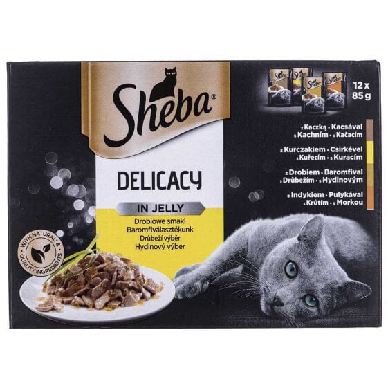 SHEBA Delicacy Jelly Chicken 85g Wet Cat Food 12 Units