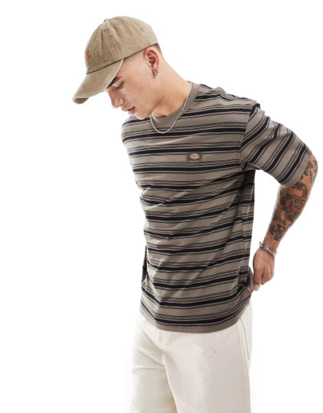 Dickies seasonal striped t-shirt in brown multi