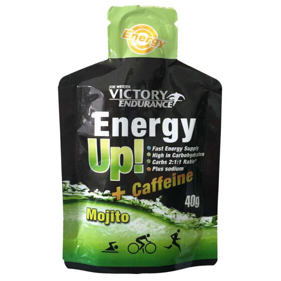 Энергетический гель для спорта VICTORY ENDURANCE Energy Up 40 г Мохито