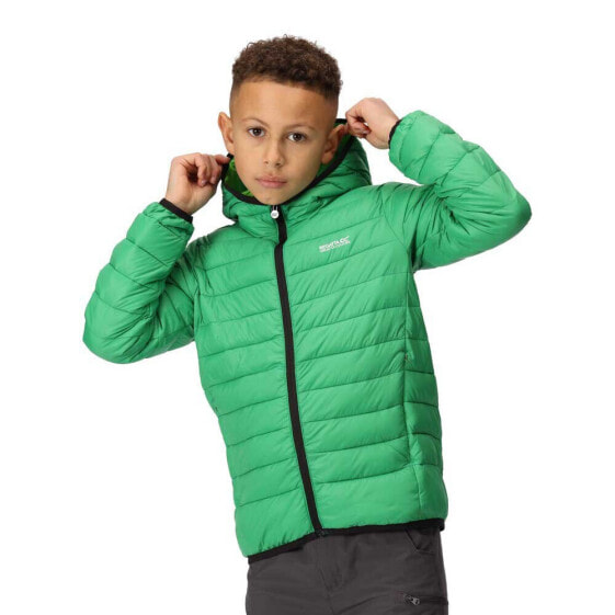 REGATTA Marizion jacket