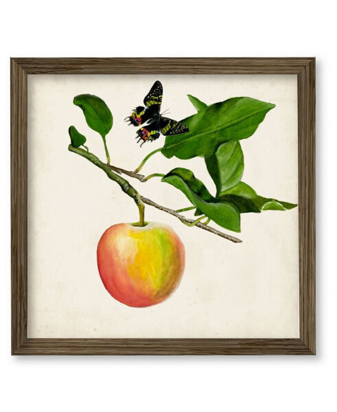Fruit with Butterflies IV 18" x 18" Framed Canvas Wall Art