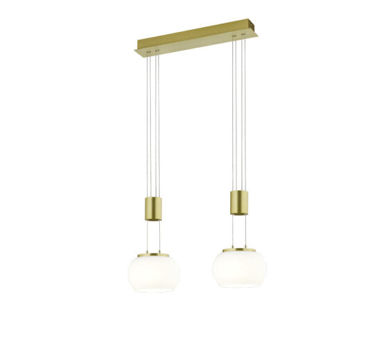 TRIO Madison - Flexible mount - Brass - Brass - White - Glass - IP20 - II