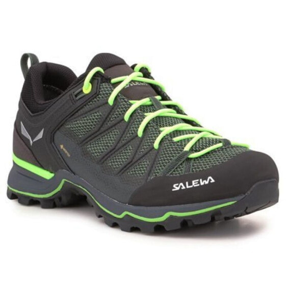 Мужские кроссовки спортивные треккинговые черные текстильные низкие демисезонные Salewa Ms Mtn Trainer Lite GTX M 61361-5945