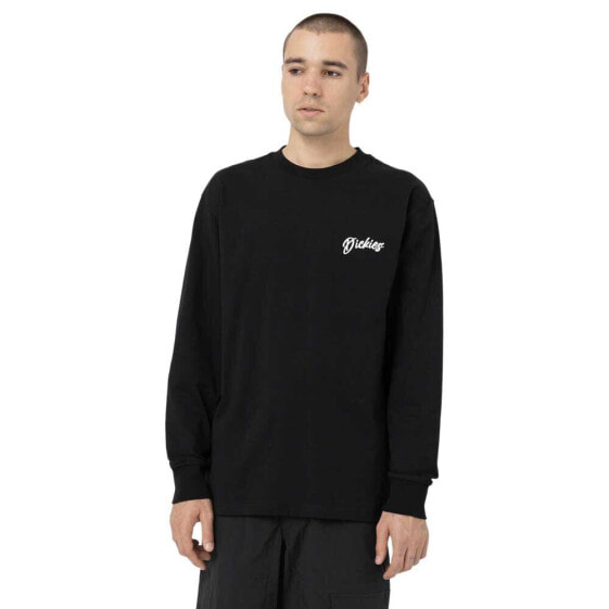 DICKIES Dighton long sleeve T-shirt