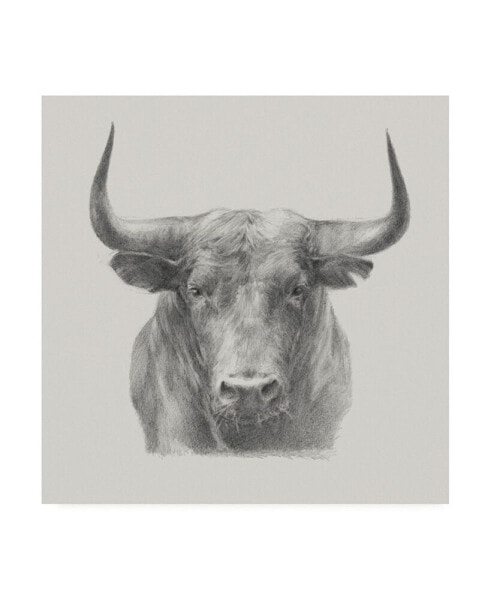 Ethan Harper Black Bull Canvas Art - 27" x 33"