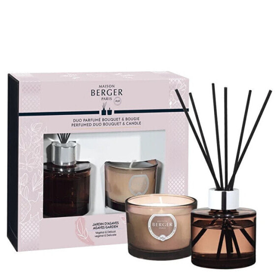 Gift set aroma diffuser Joy Garden of Agaves 80 ml + candle 80 g
