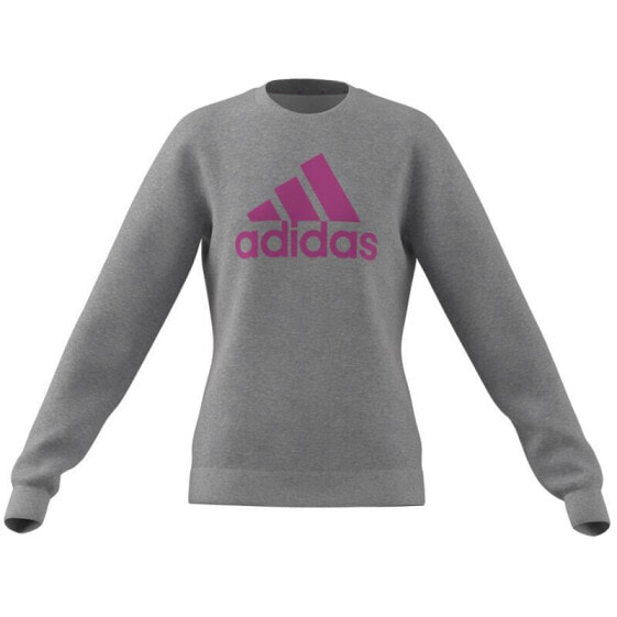 Sweatshirt adidas Big Logo Swt Jr IC6118