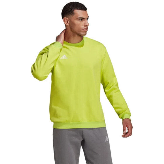 ADIDAS Entrada 22 Stadium SW sweatshirt