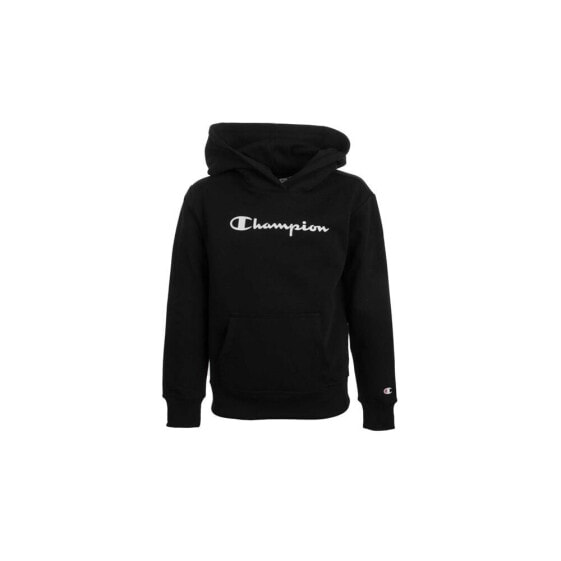 Champion Hooded Sweatshirt