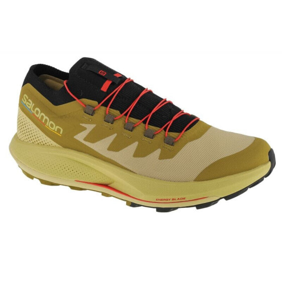 Кроссовки Salomon Pulsar Trail-Pro M