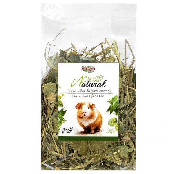 ALEGIA Green herbs for cavia 100g rodents treat