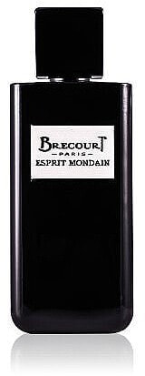 Brecourt Esprit Mondain