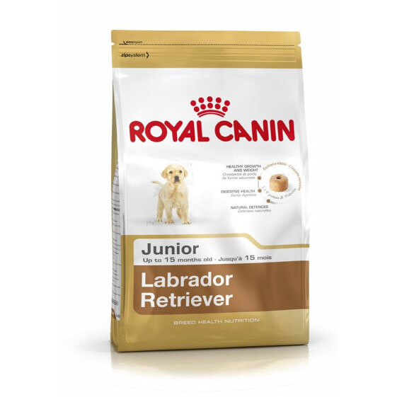 Фураж Royal Canin Labrador Retriever Junior 12 kg Щенок / Юниор Кукуруза птицы