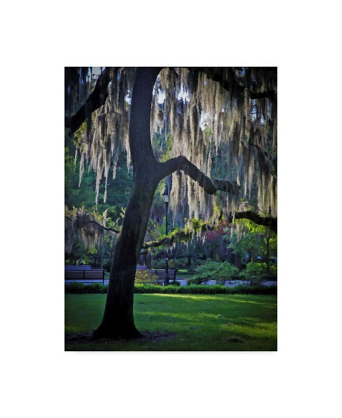 J.D. Mcfarlan 'Forsyth Pk, Savannah' Canvas Art - 14" x 19"